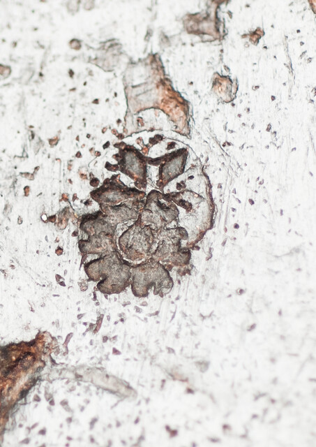 An early seventeenth century pewter porridge bowl with a rose hallmark.