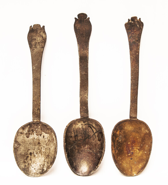 Three early seventeenth century Dutch pewter spoons, two with hallmarks.